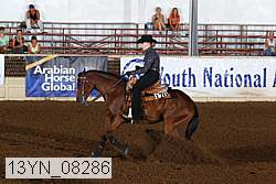 13yn_08286 proof
