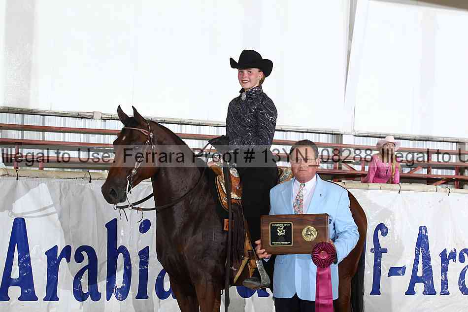 Proof 13yn_08288