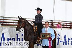13yn_08288 proof