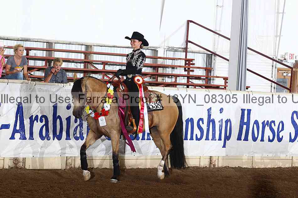 Proof 13yn_08305