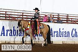 13yn_08306 proof
