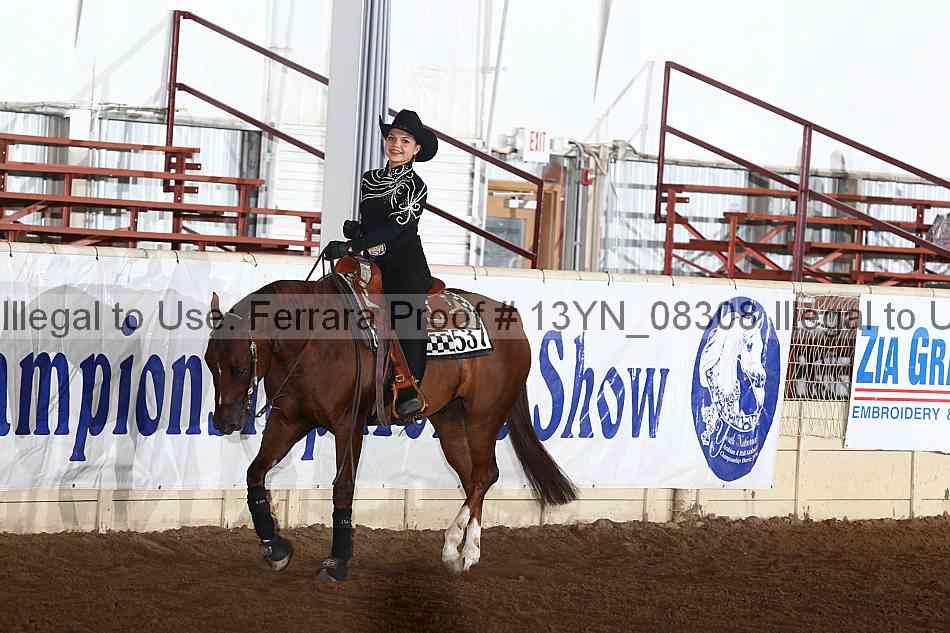Proof 13yn_08308