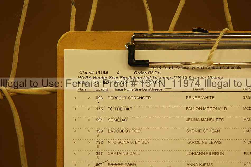 Proof 13yn_11974