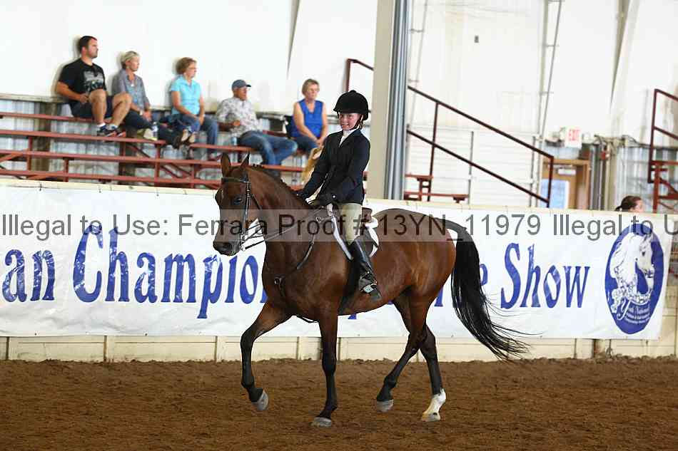 Proof 13yn_11979