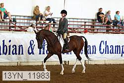13yn_11983 proof