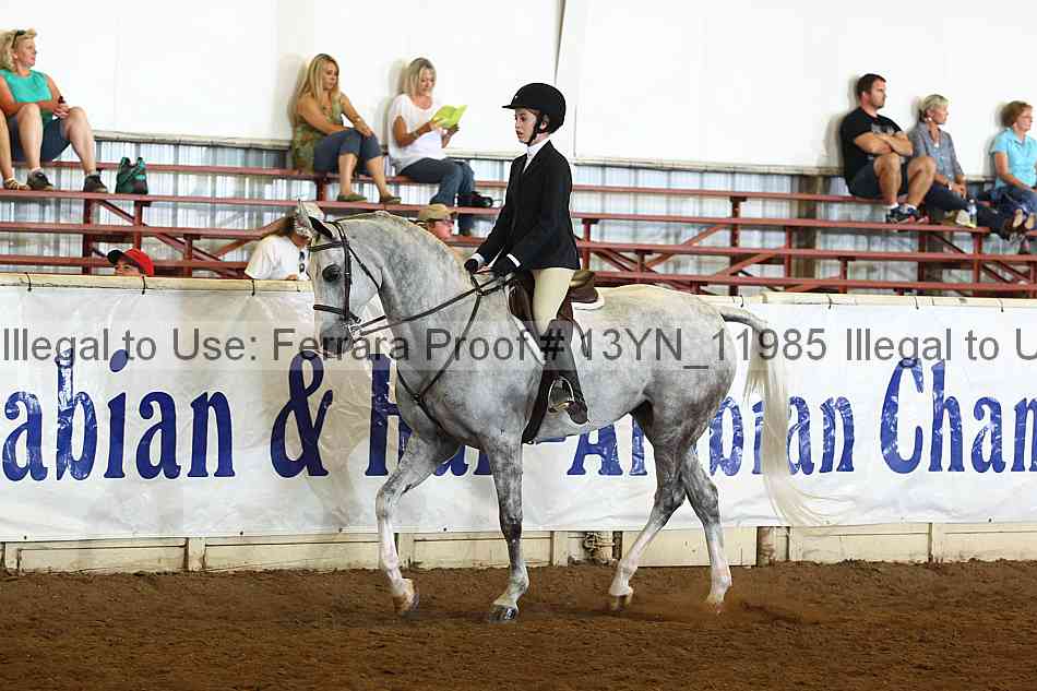 Proof 13yn_11985