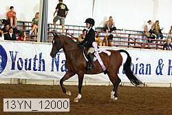 13yn_12000 proof