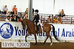 13yn_12002 proof