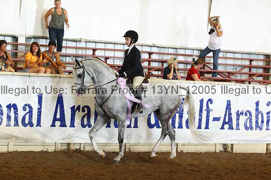 Proof 13yn_12005