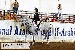 13yn_12005 proof