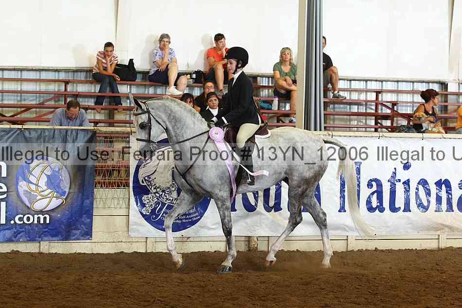Proof 13yn_12006