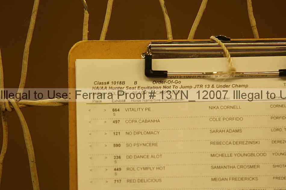Proof 13yn_12007