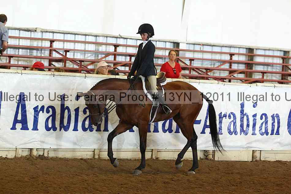 Proof 13yn_12011