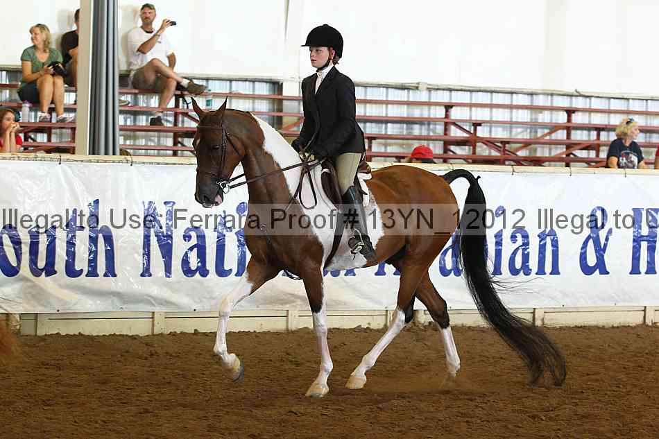 Proof 13yn_12012
