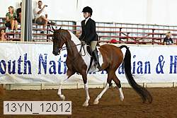 13yn_12012 proof