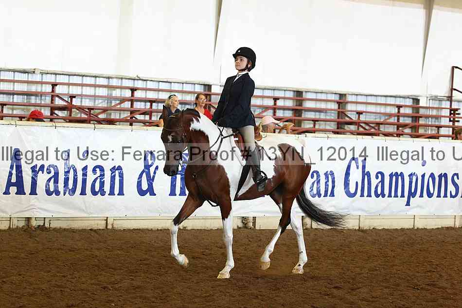 Proof 13yn_12014