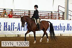 13yn_12026 proof