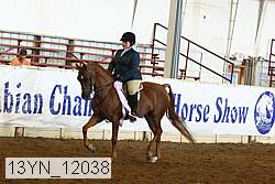 13yn_12038 proof