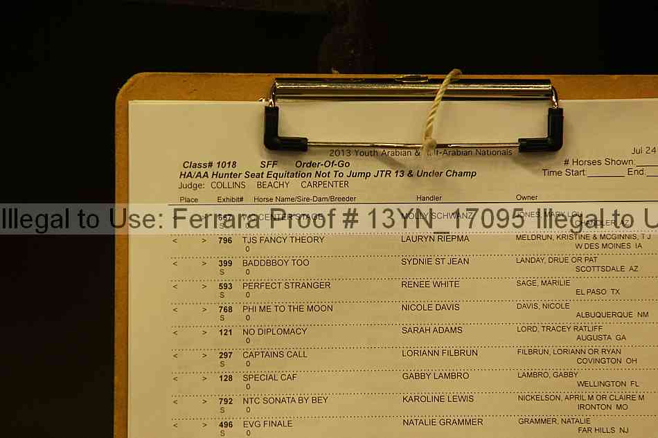 Proof 13yn_17095