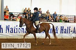 13yn_17121 proof