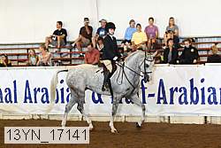 13yn_17141 proof