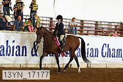 13yn_17177 proof
