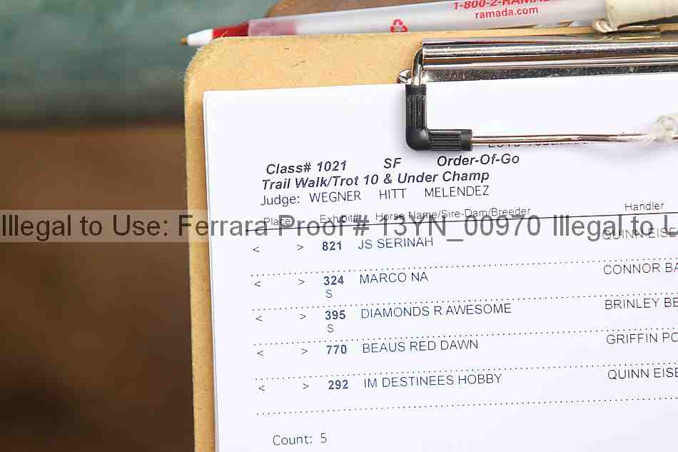 Proof 13yn_00970
