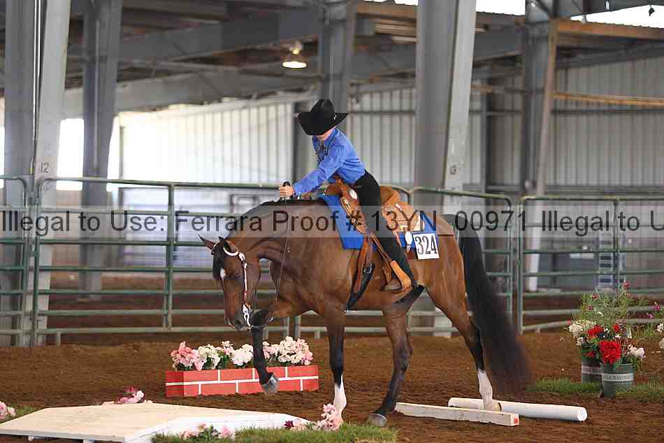 Proof 13yn_00971