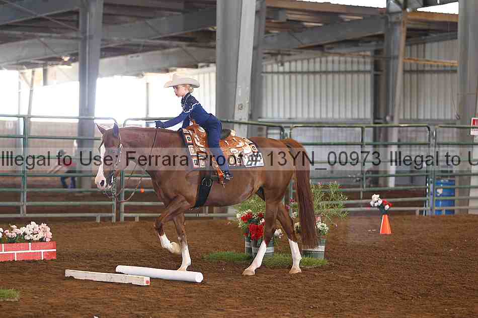 Proof 13yn_00973