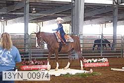 13yn_00974 proof