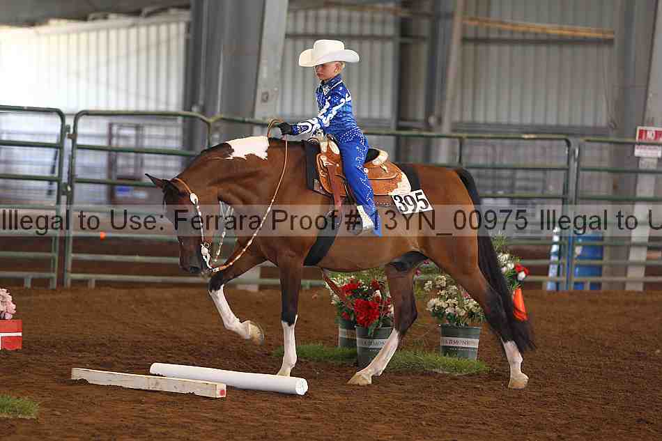 Proof 13yn_00975