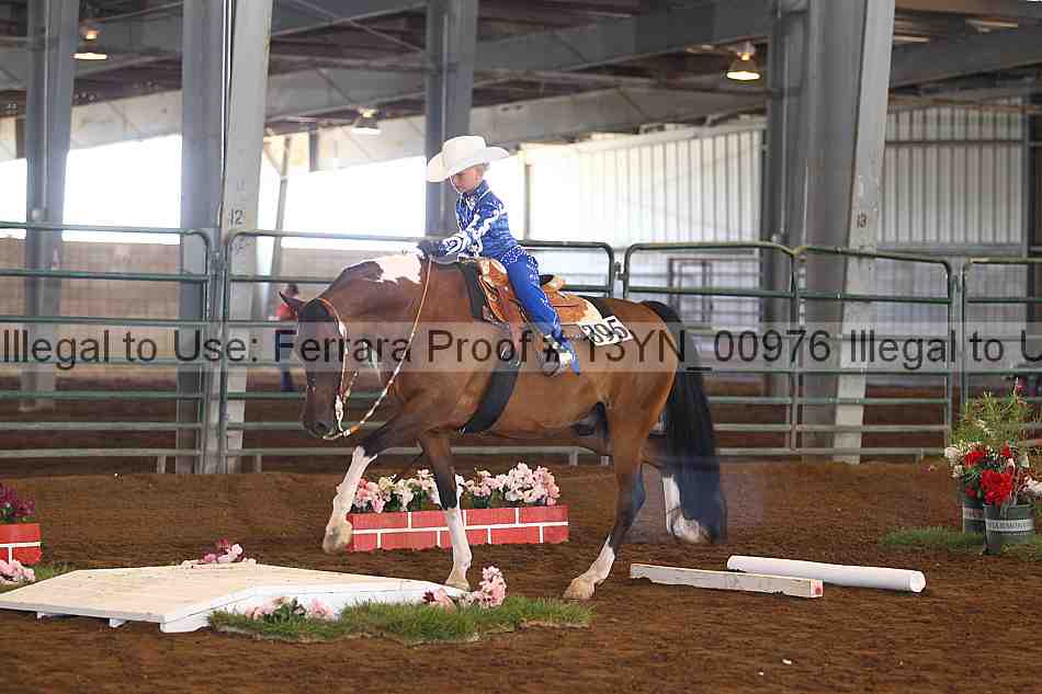 Proof 13yn_00976