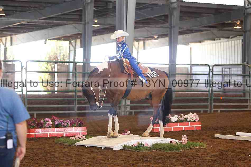 Proof 13yn_00977