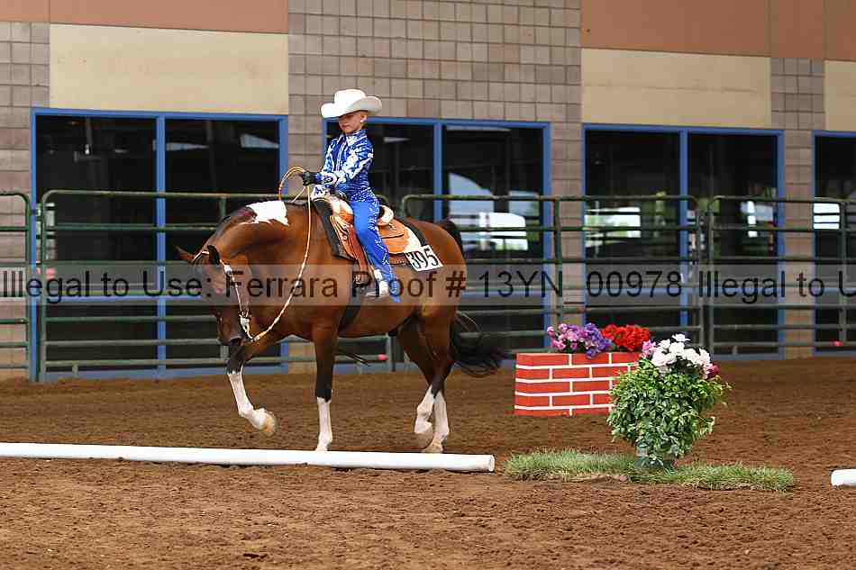 Proof 13yn_00978