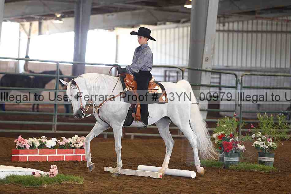 Proof 13yn_00979