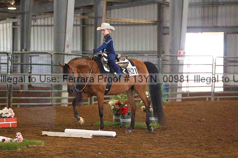 Proof 13yn_00981