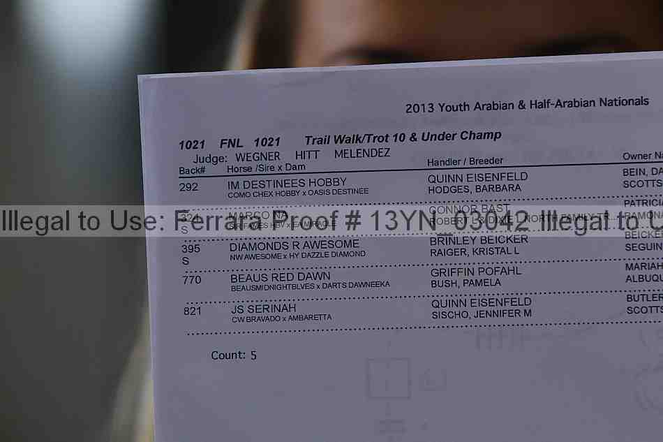 Proof 13yn_03042