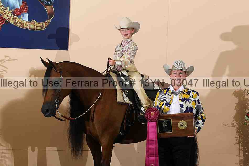 Proof 13yn_03047