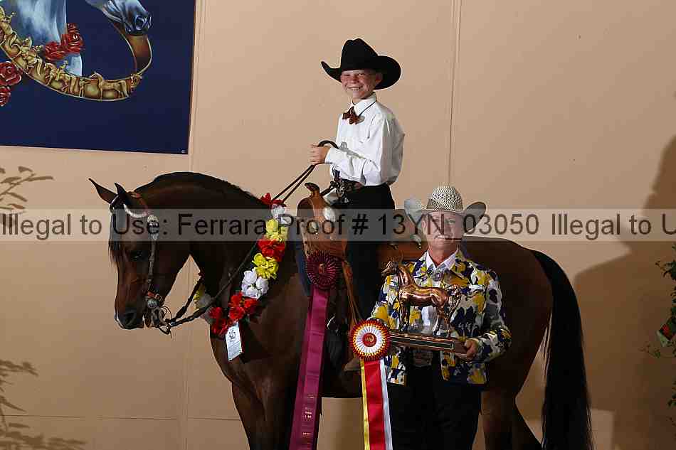 Proof 13yn_03050
