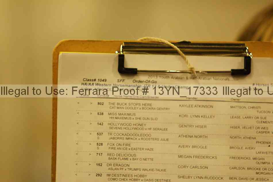 Proof 13yn_17333