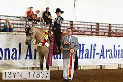 13yn_17357 proof