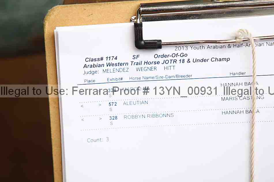 Proof 13yn_00931