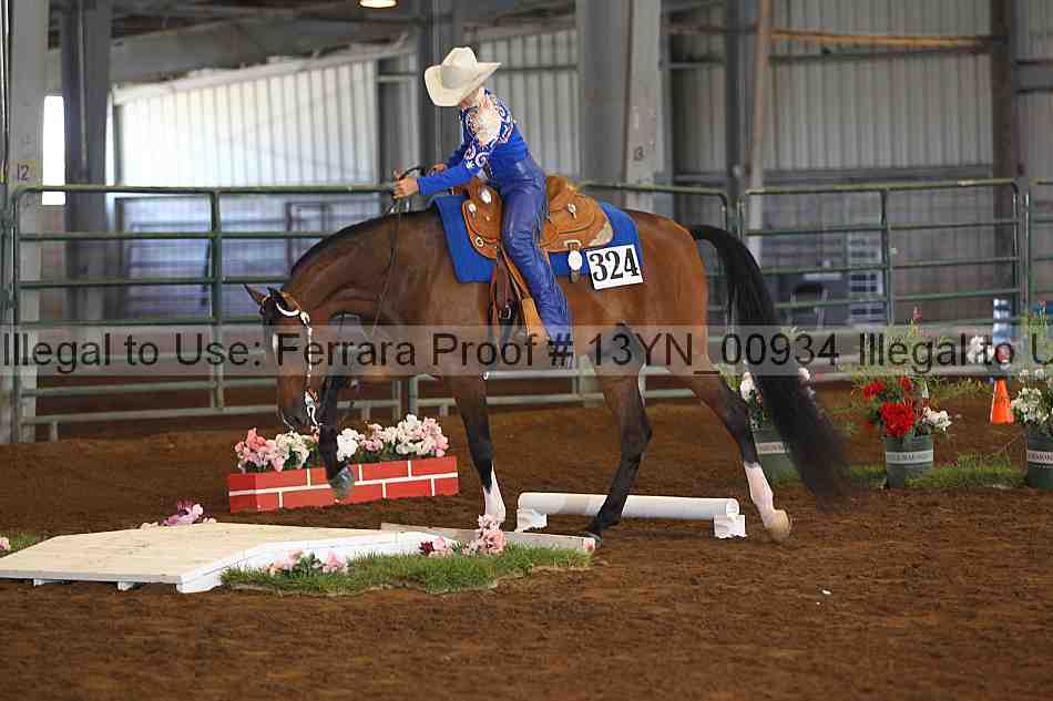 Proof 13yn_00934