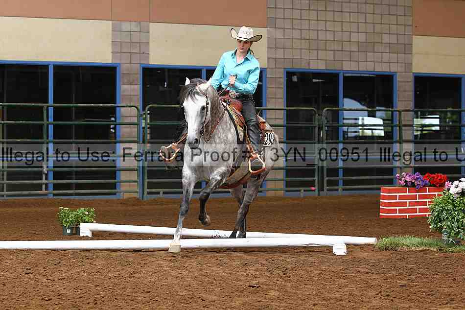 Proof 13yn_00951