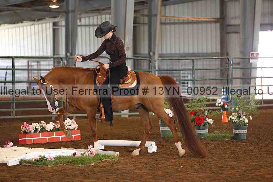 Proof 13yn_00952