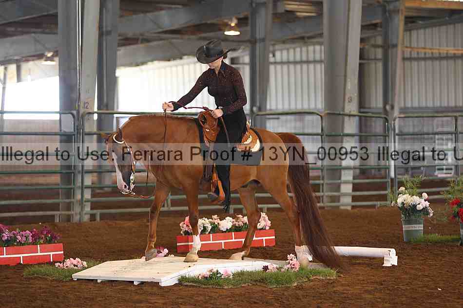 Proof 13yn_00953
