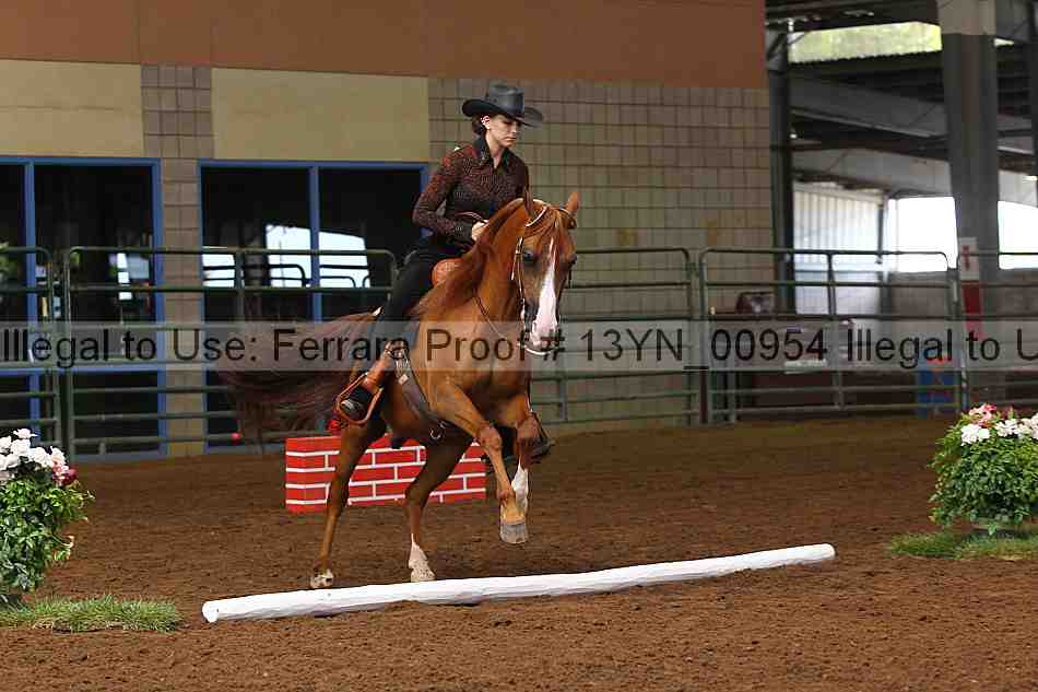 Proof 13yn_00954
