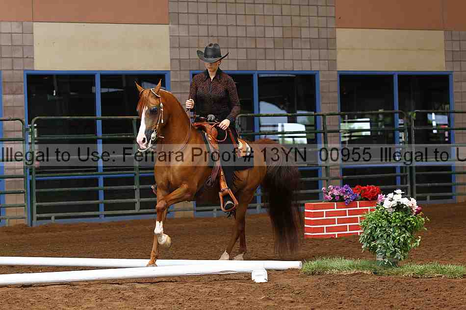 Proof 13yn_00955