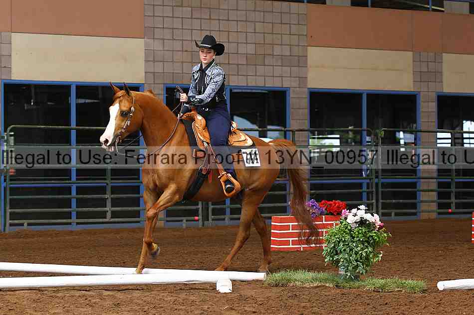 Proof 13yn_00957