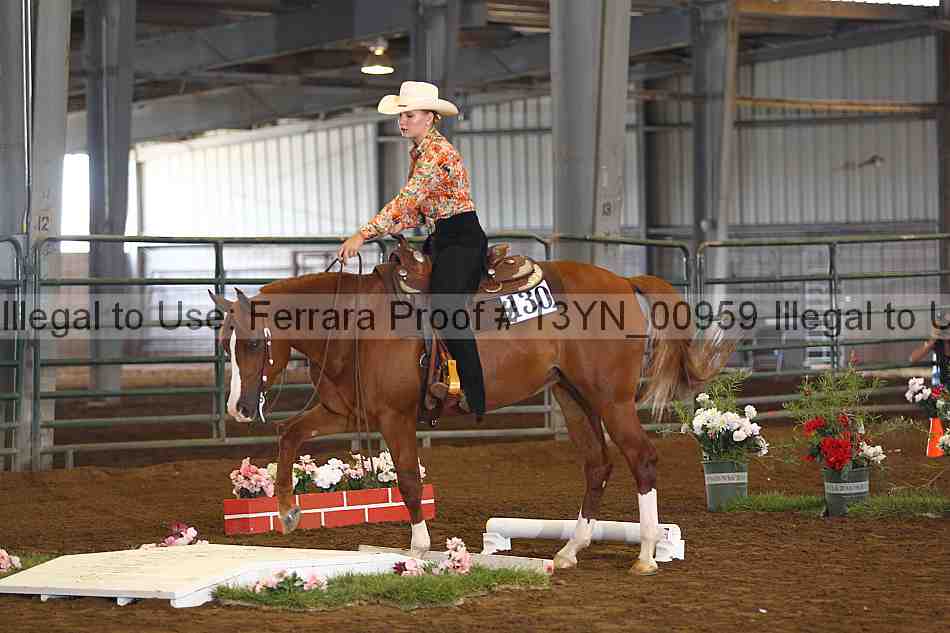 Proof 13yn_00959
